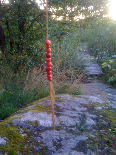 Wild Strawberry Bikini